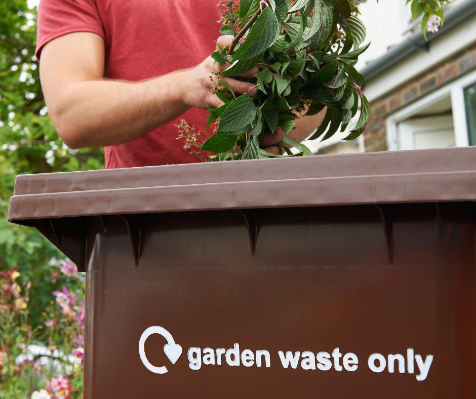A picture of an MDC garden waste (brown) bin