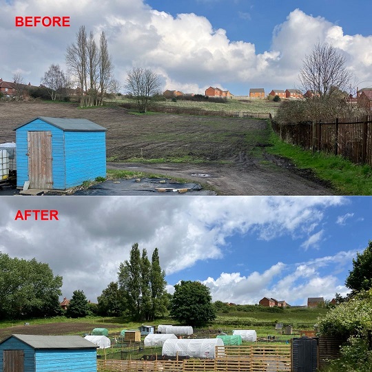 Before and after photos of the new Sandy Lane allotments