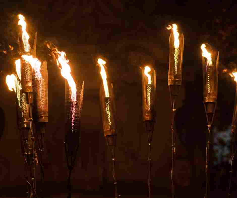 Fire Garden