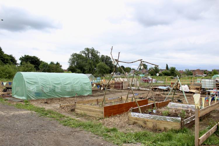 Priory Road Allotments, Mansfield Woodhouse