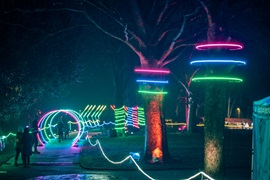 A photo of the Light Night trail in Carr Bank Park