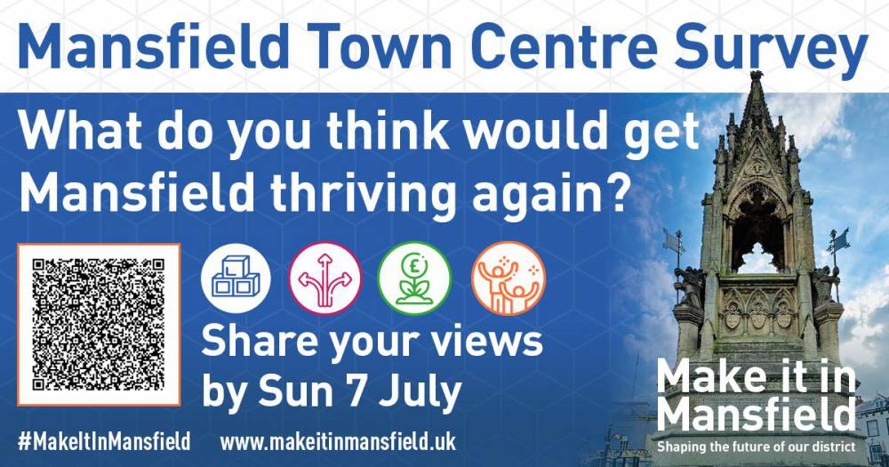 Mansfield town centre survey