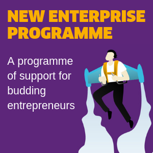 New enterprise programme homepage ad