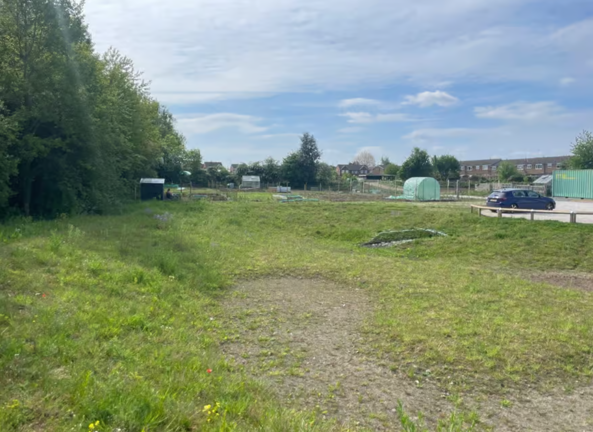 Newcastle Street allotments