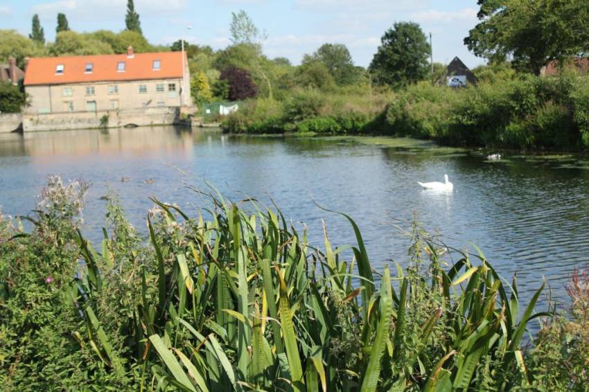 A photo of the The Carrs Local Nature Reserve Warsop