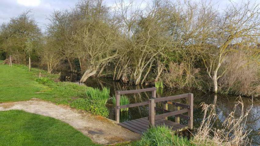A photo of the The Carrs Local Nature Reserve Warsop