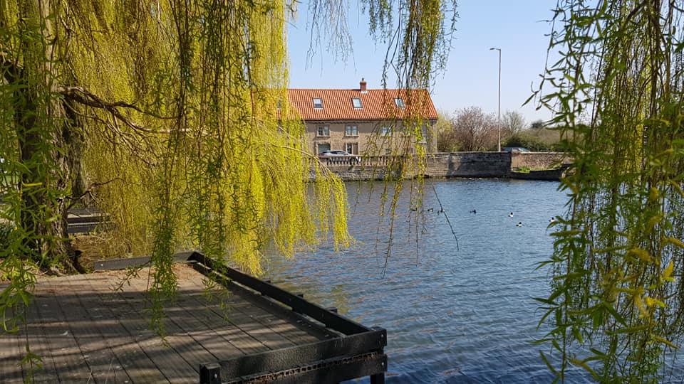 A photo of the The Carrs Local Nature Reserve Warsop