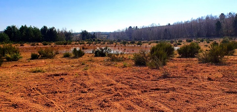 Photo of a land in Sherwood Forest known as The Desert