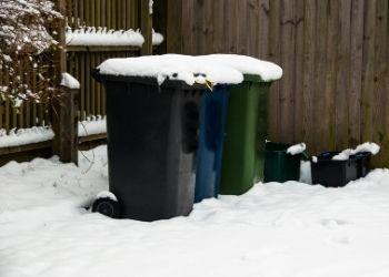 An image of wheelie bins in the snow