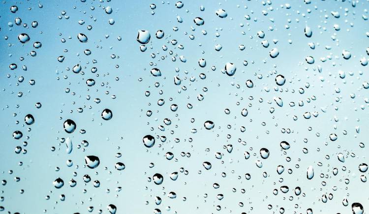 Rain on a window