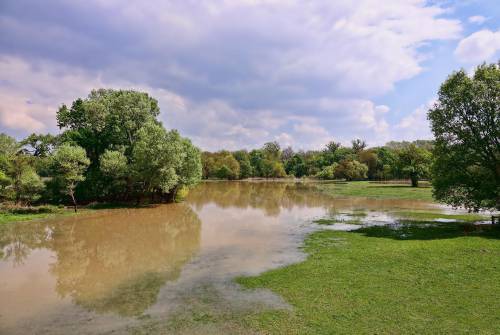 Photo of flooded park