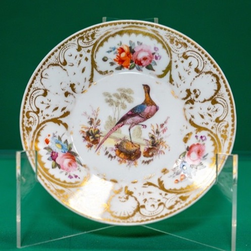 A saucer with an elaborate border and a picture of a pheasant in the centre