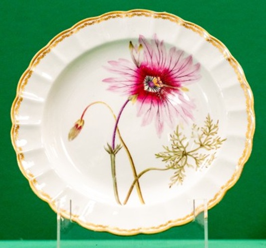 Plate decorated with a large painting of a bright pink and white flower