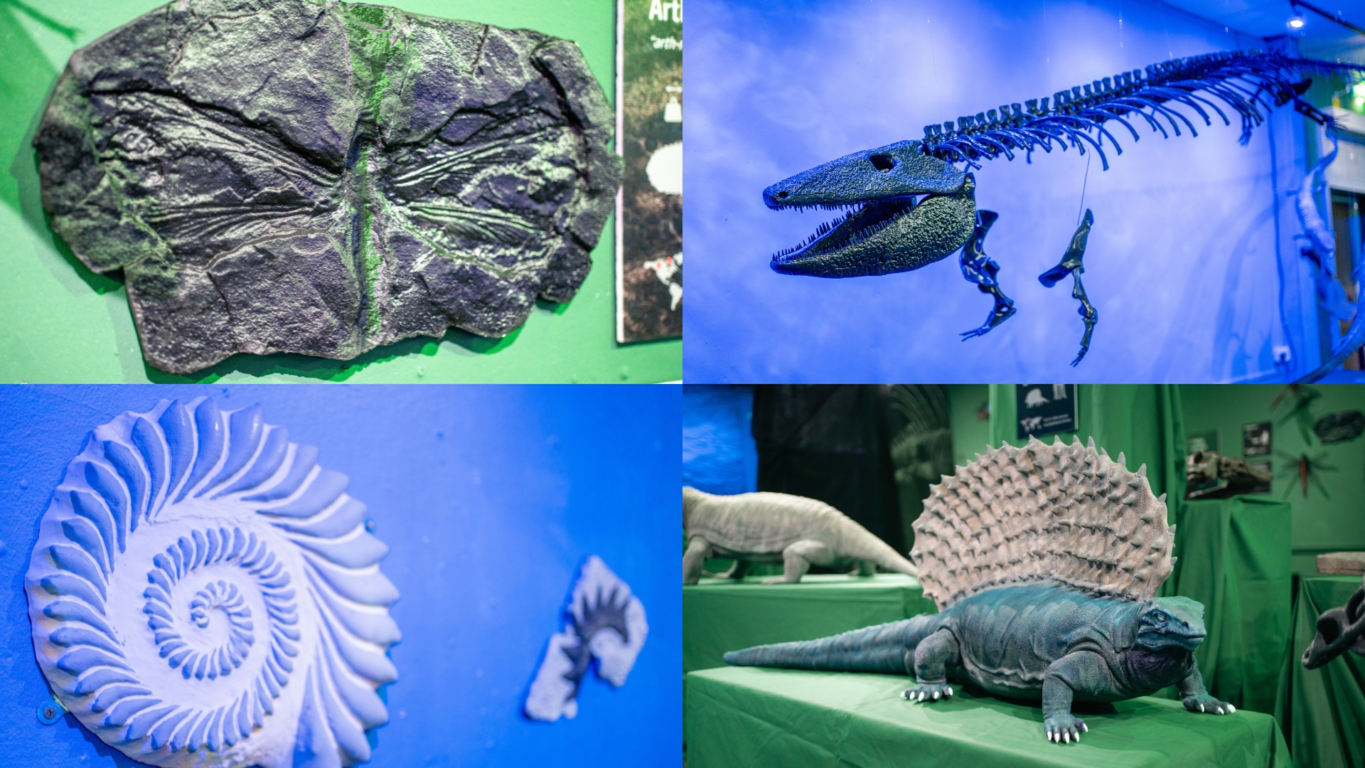 carboniferous monsters 2