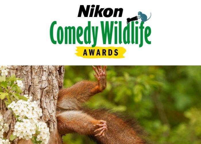 comedy wildlife