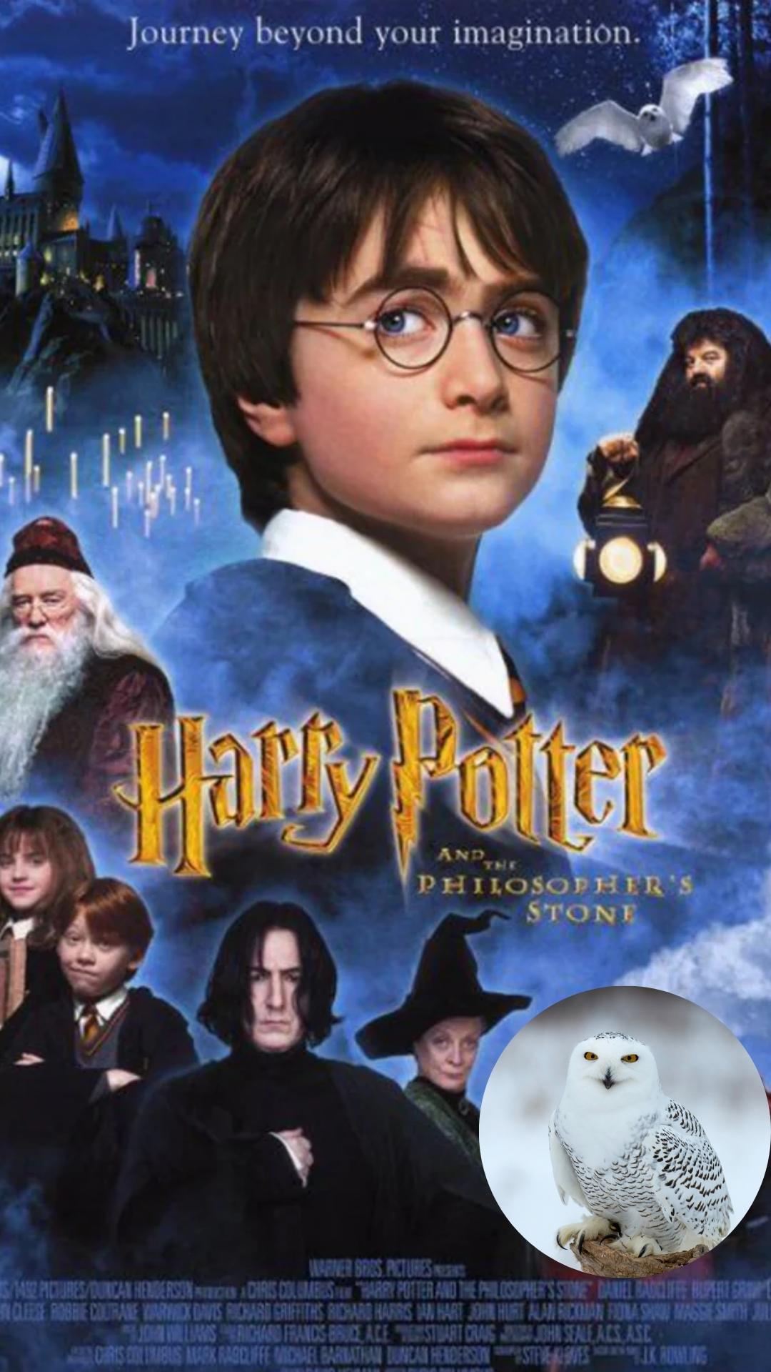 harry and the owls
