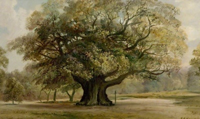 Major oak painting