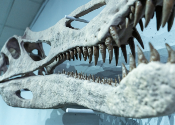 dinosaurs