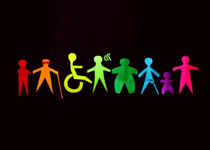 disability project