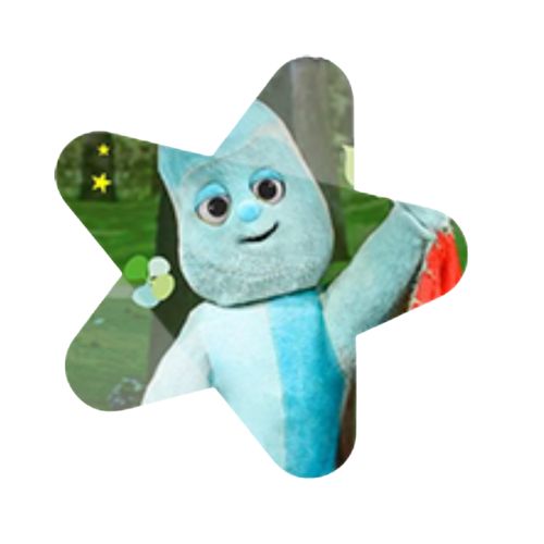 Centre star 4