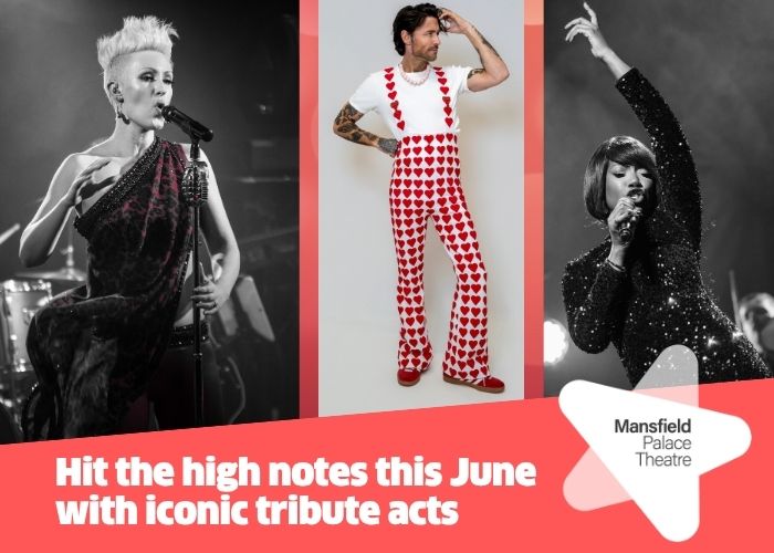 Hit the high notes this June with our iconic tribute shows