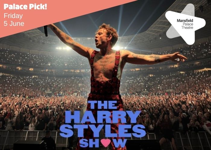 Palace pick harry styles show