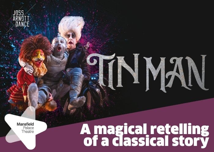 Tin Man